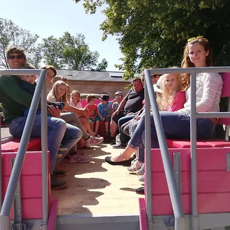 Veilchen - Ferienhof Friedrichsthal